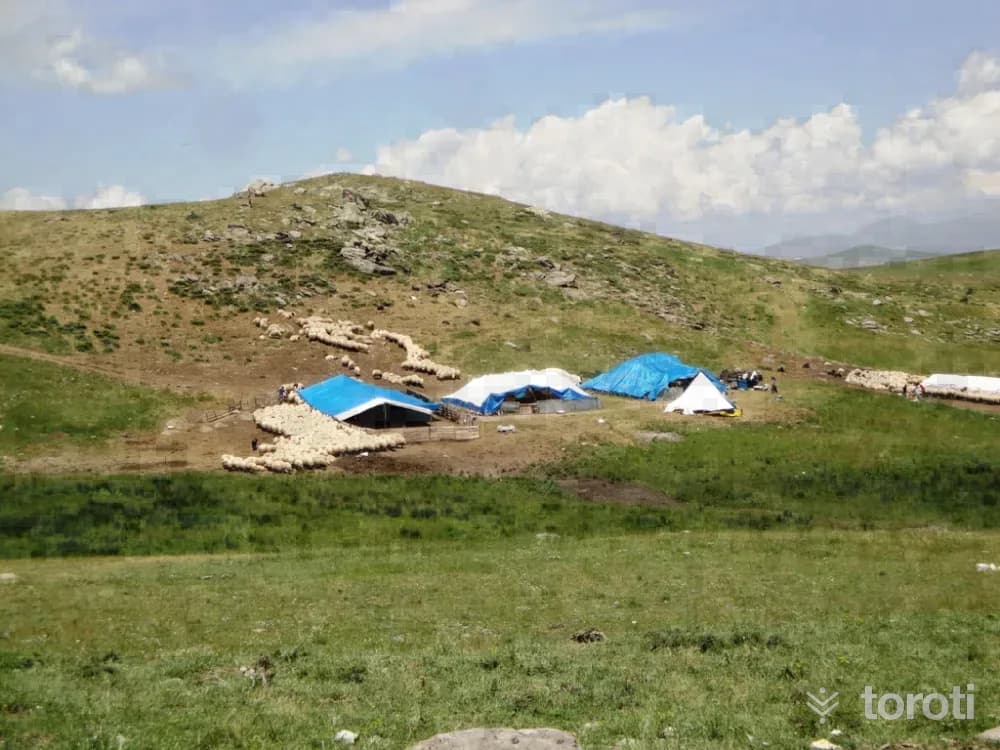Sarıçiçek Yaylası
