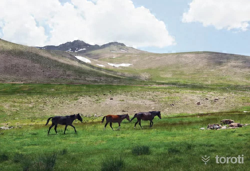 Yama Dağı Yaylası
