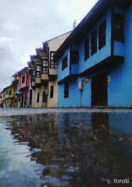 Eski Uşak Evleri
