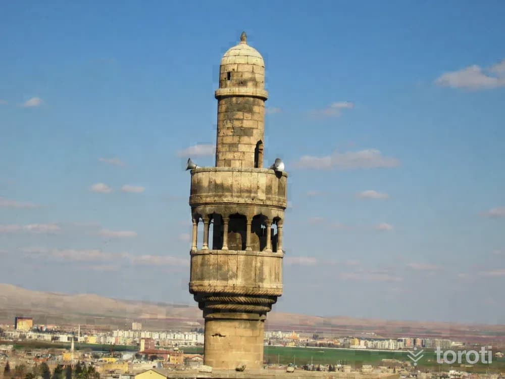 Arabi Cami
