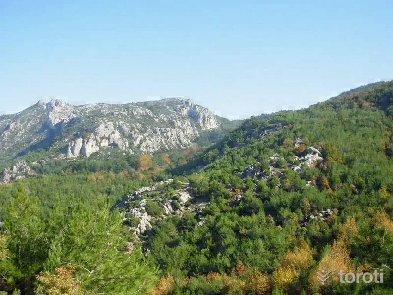 Doğa Yürüyüşü (trekking) - Dilek Yarimadası Milli Parkı