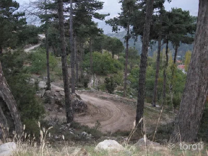 Doğa Yürüyüşü (trekking) - Madran Yaylası
