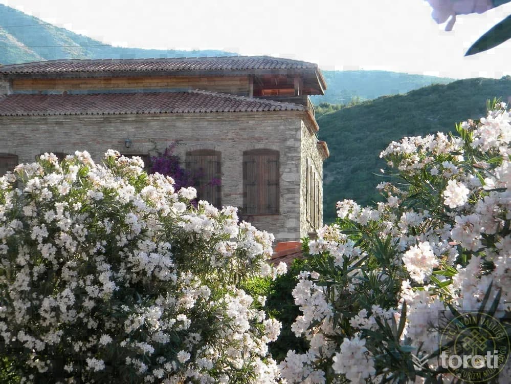 Eski Doğanbey Köyü
