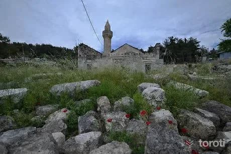 Ala Cami