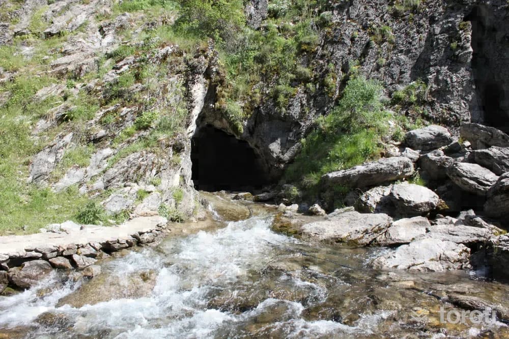 Pinargözü Mağarası