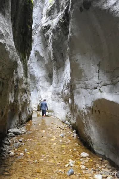 Yaka Kanyonu