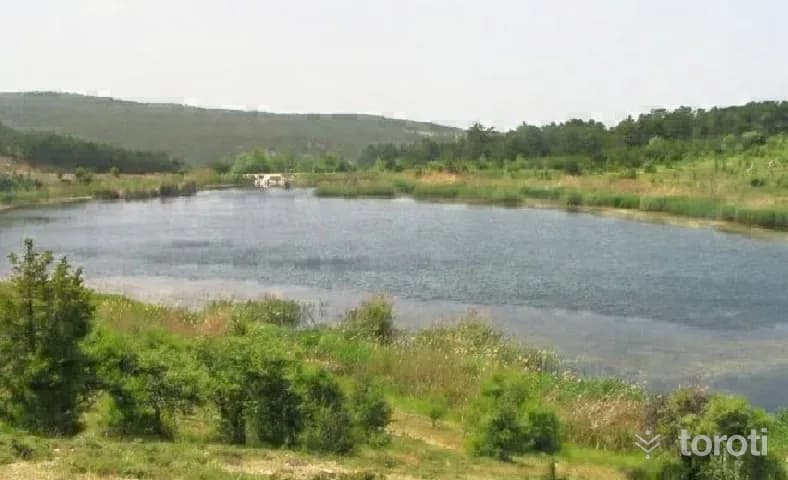 Kibriscik Karagöl Tabiat Parkı