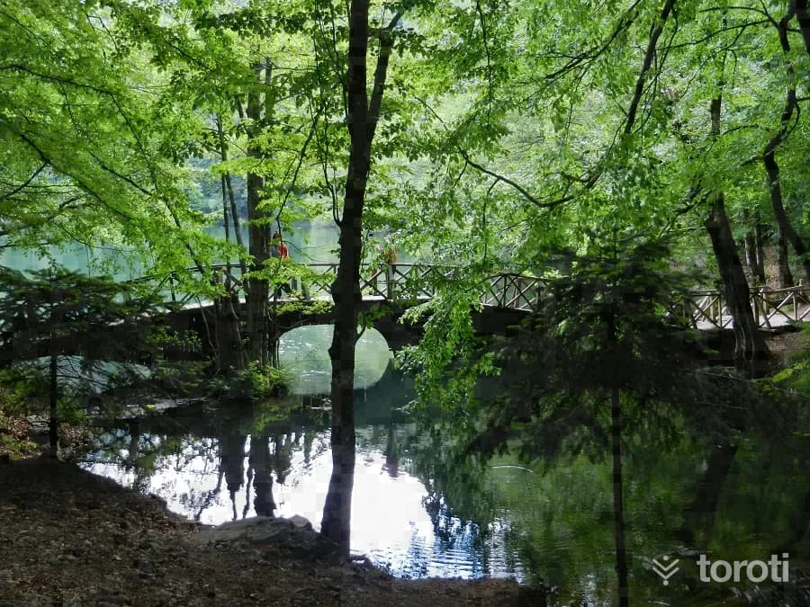 Yedigöller Milli Parkı