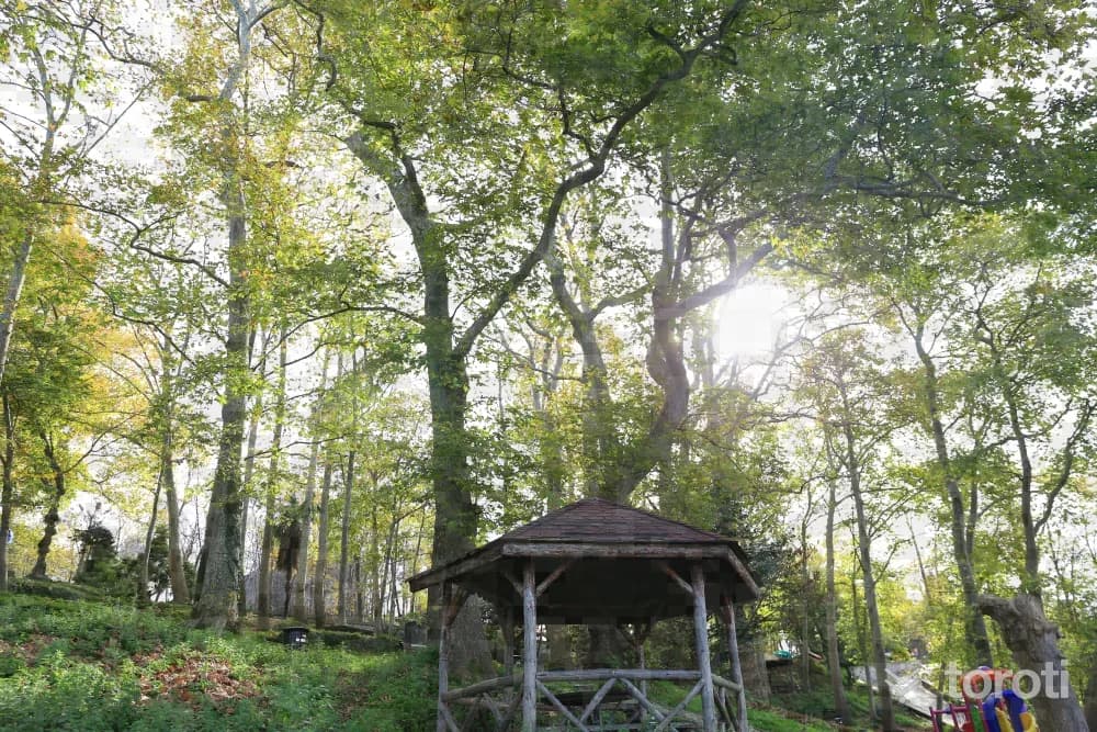 Giresun Kalesi