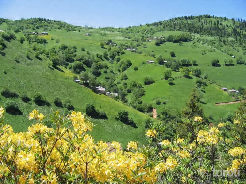 Kümbet Yaylası