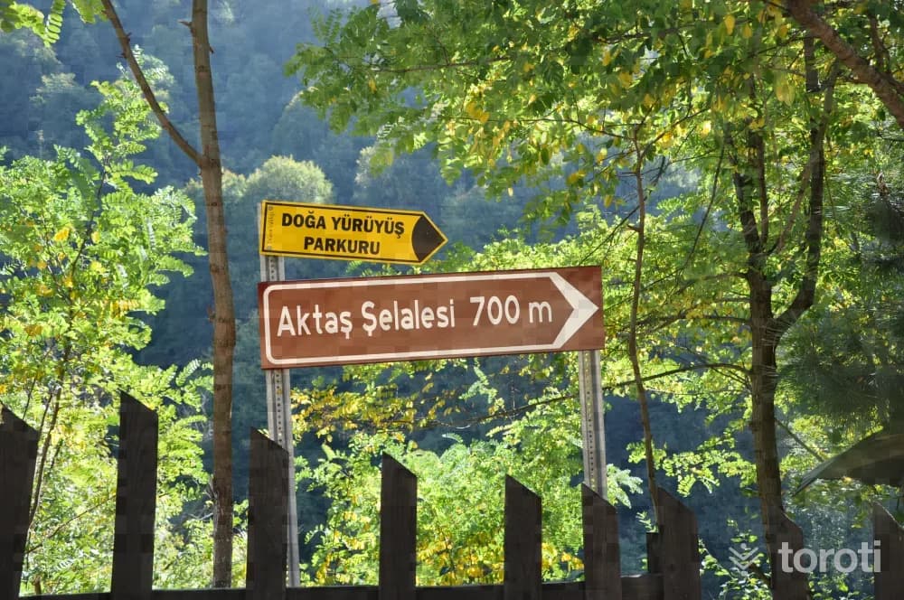 Akçakoca Yürüyüş Parkurlari