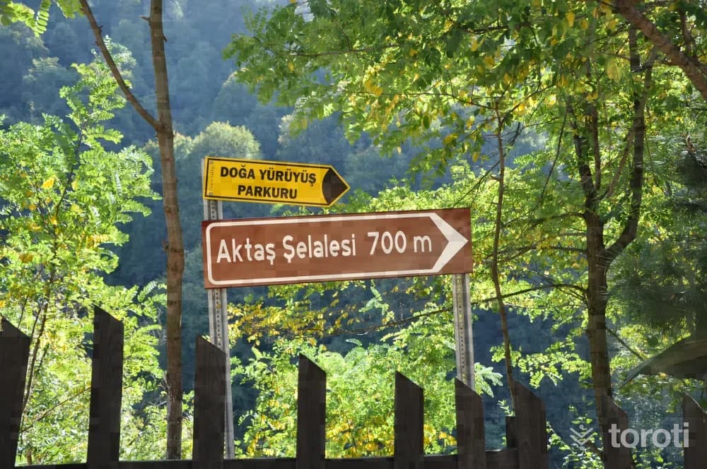 Aktaş Şelalesi