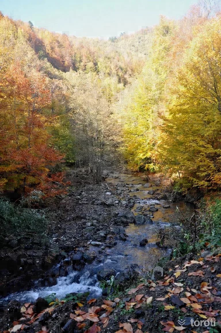 Geyikbeli (yilançati) Kanyonu Tabiat Parkı