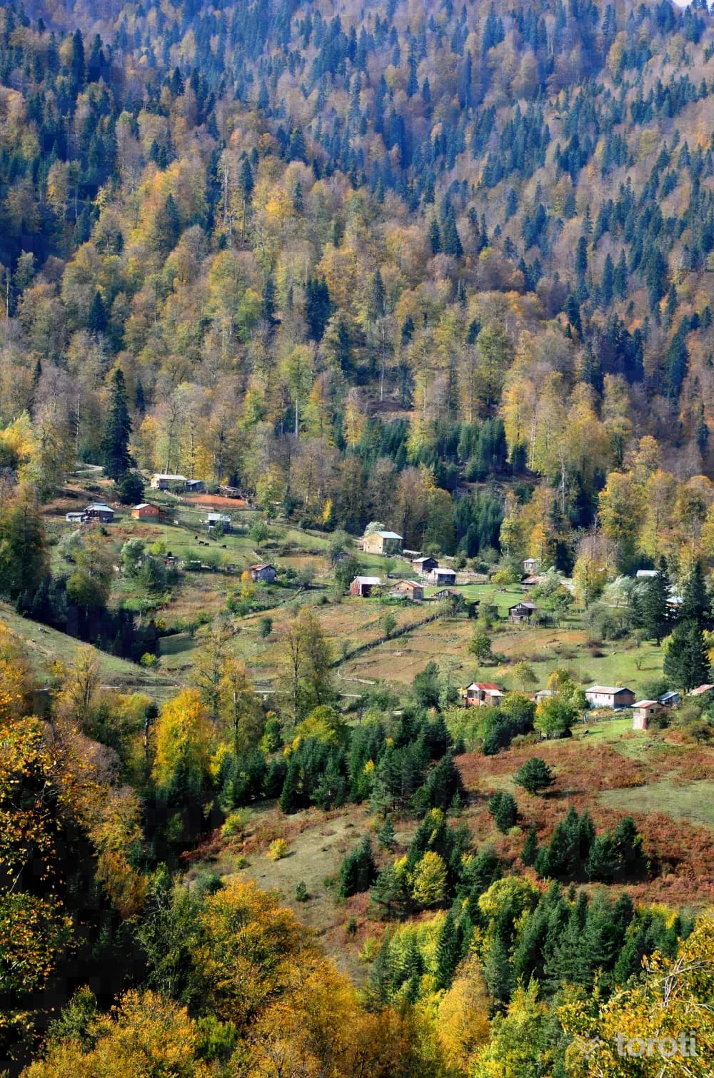 Odayeri Ve Derebalik Yaylaları Yürüyüş Parkuru