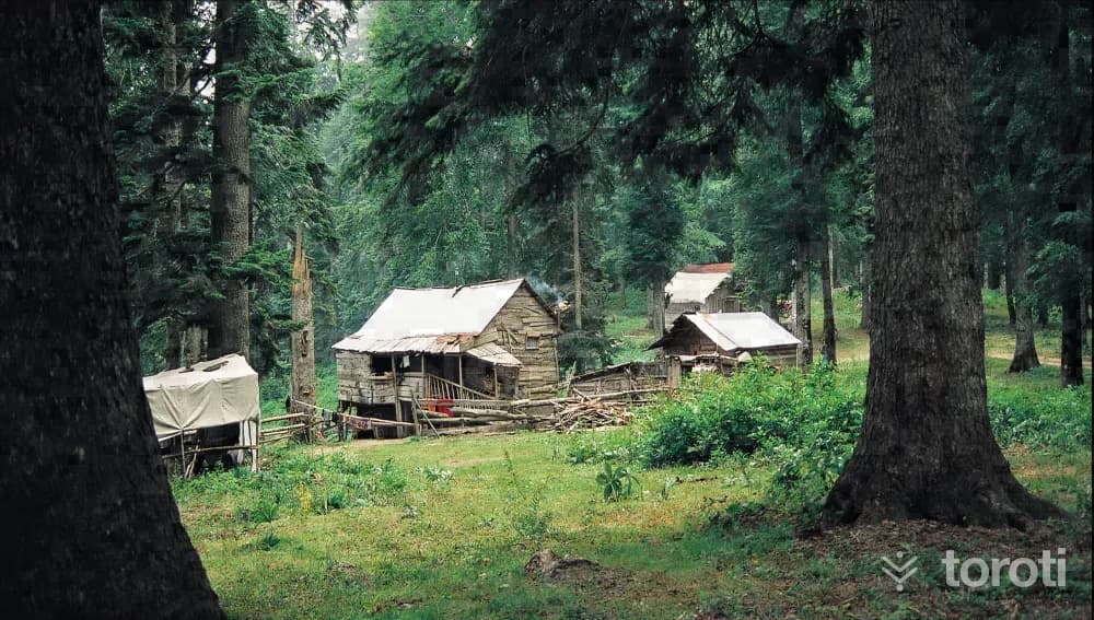 Sinekli Yaylası