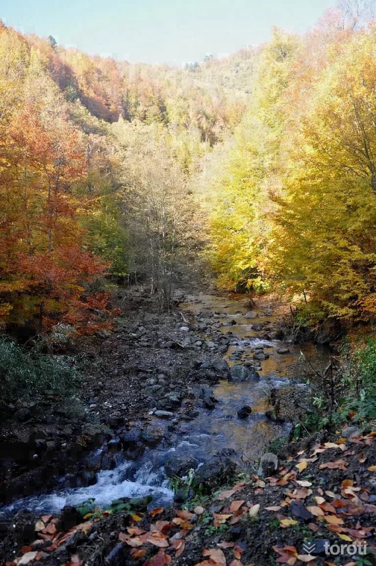 Yılançati Kanyonu Tabiat Parkı