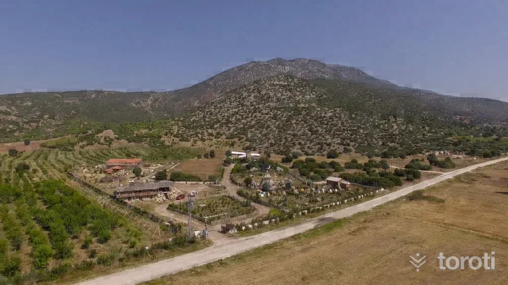 Lisinia Doğa