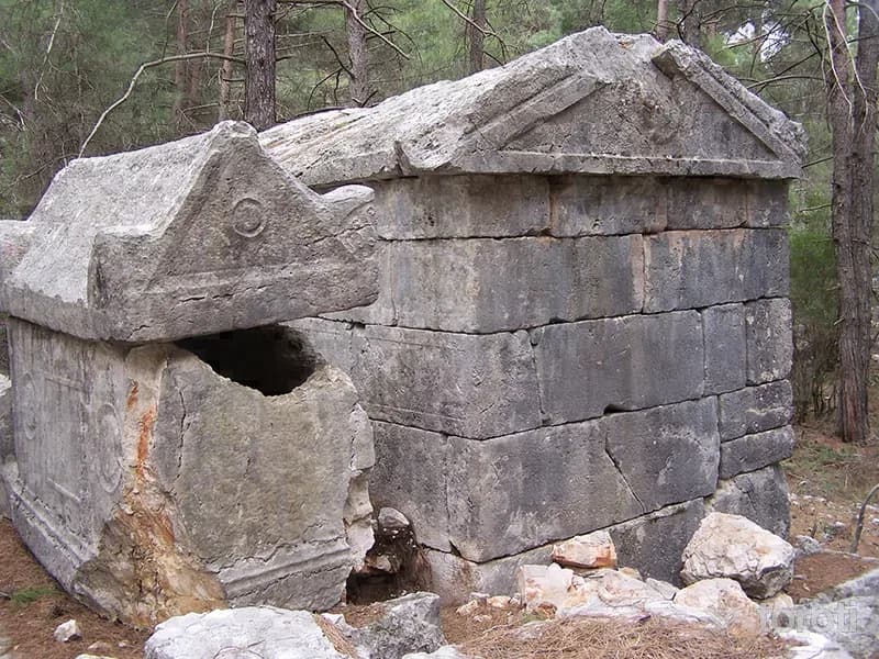 Sia Ören Yeri / Taşandam