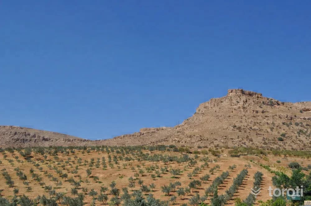 Deyrulzafaran Manastiri