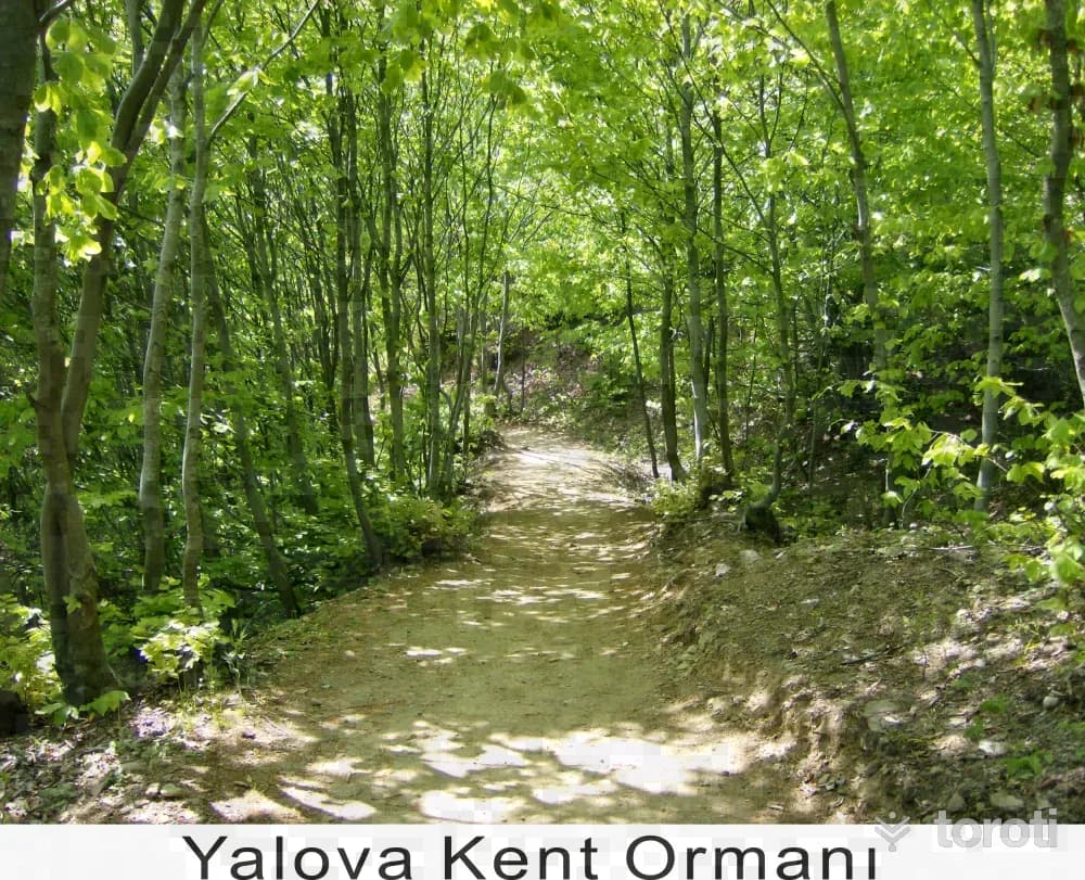 Yalova Kent Ormanı