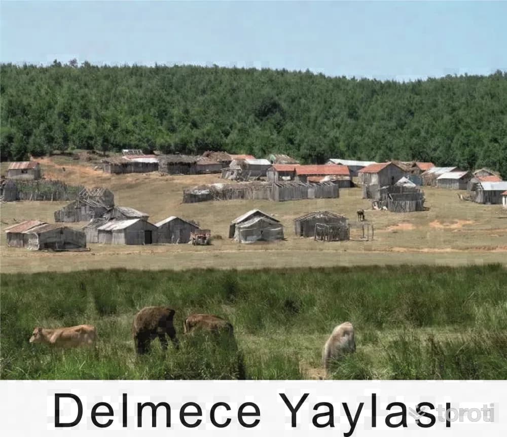 Delmece Yaylası