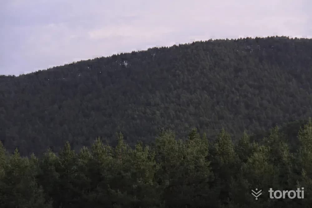 Akdağmadeni Kadipinari Yaylası