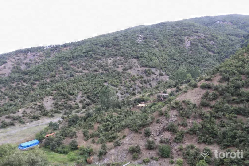 Şebekpinari Yaylası