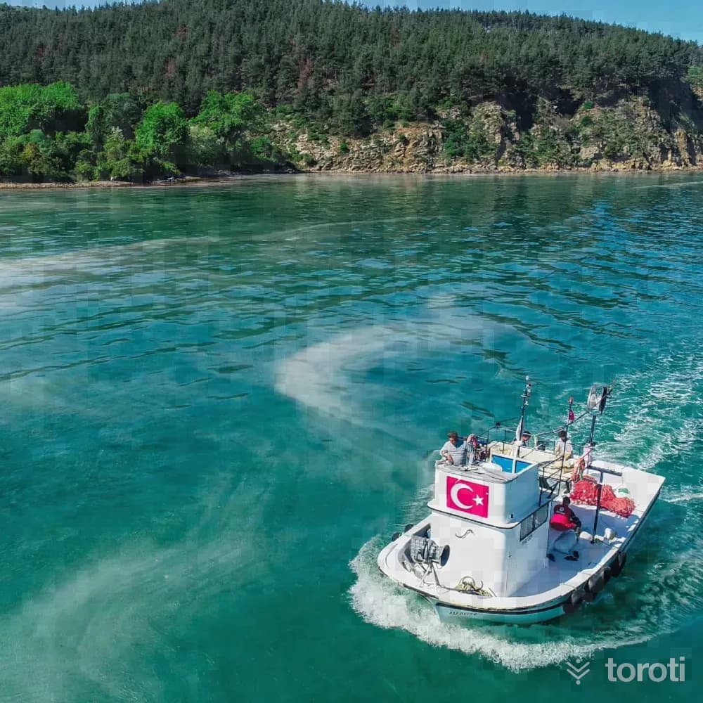Dut Limanı Koyu