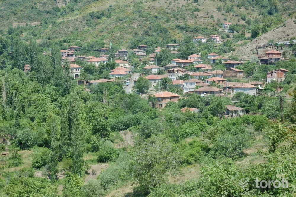 Süleymanpaşa Yeniköy