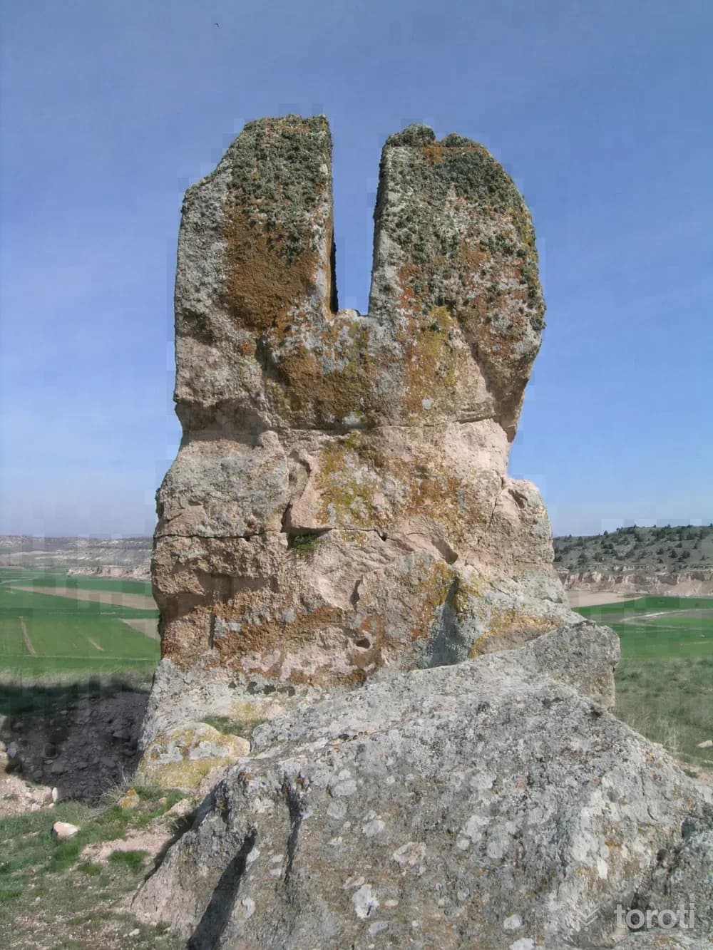 Çatalkaya