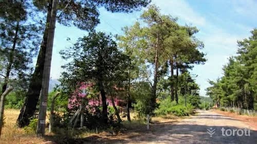 Karataş Orman İÇİ Dinlenme Yeri