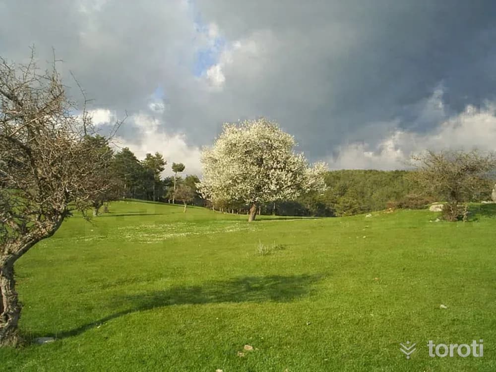 Koca Yayla