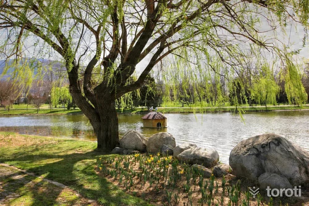 Soğanli Botanik Parkı