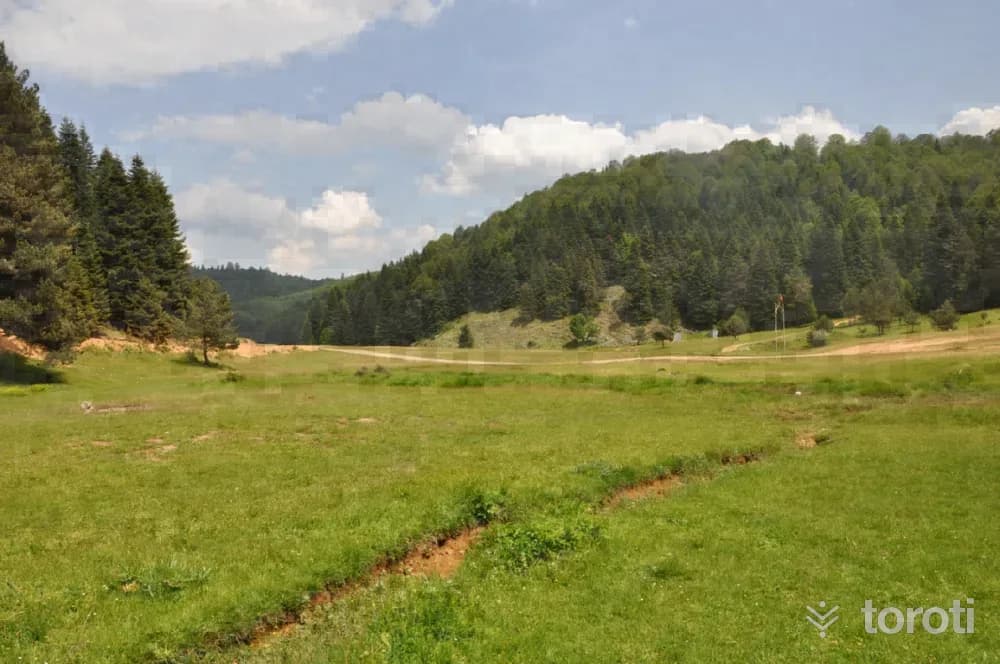 İnönü Yaylası-kocaeli