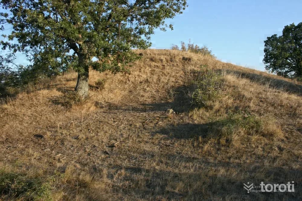 Tümülüsler