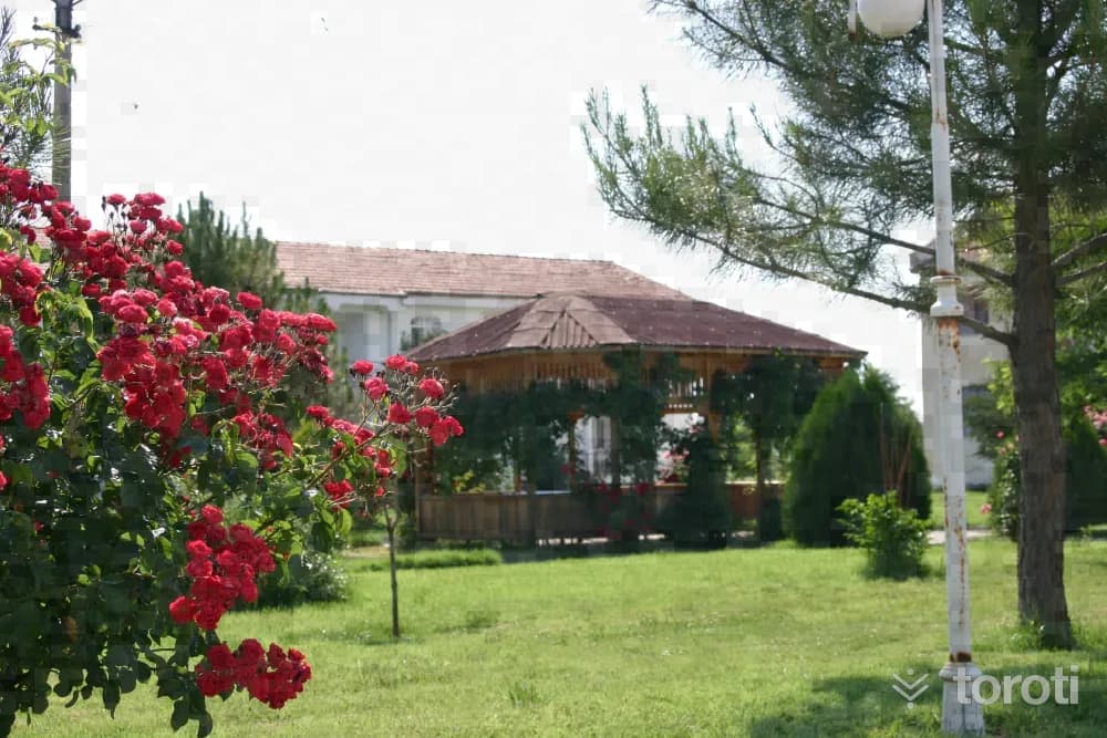 Çitgöl Termal Turizm Merkezi