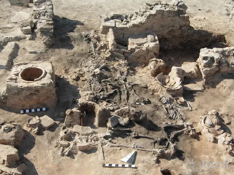 Seyitömer Höyüğü