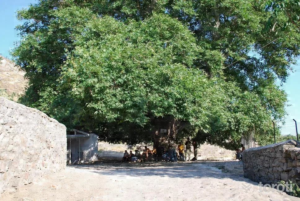 Gökçeada