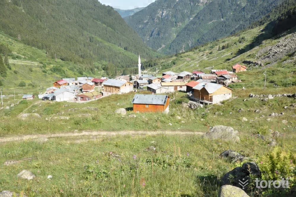 Elevit Yaylası