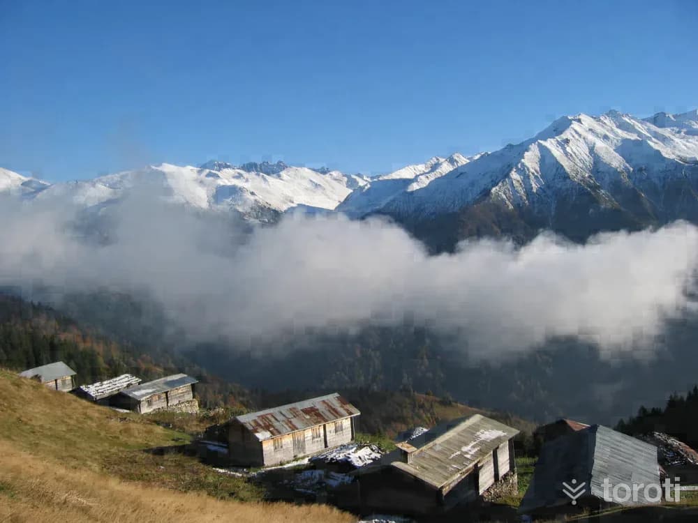 Pokut Yaylası
