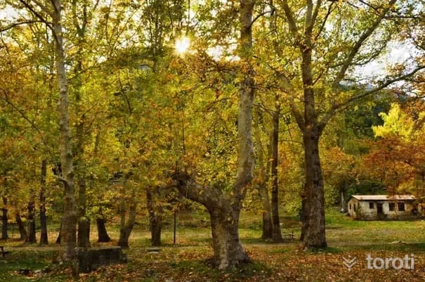 Yaban Hayati Gözlemciliği - Belemedik Yaylası
