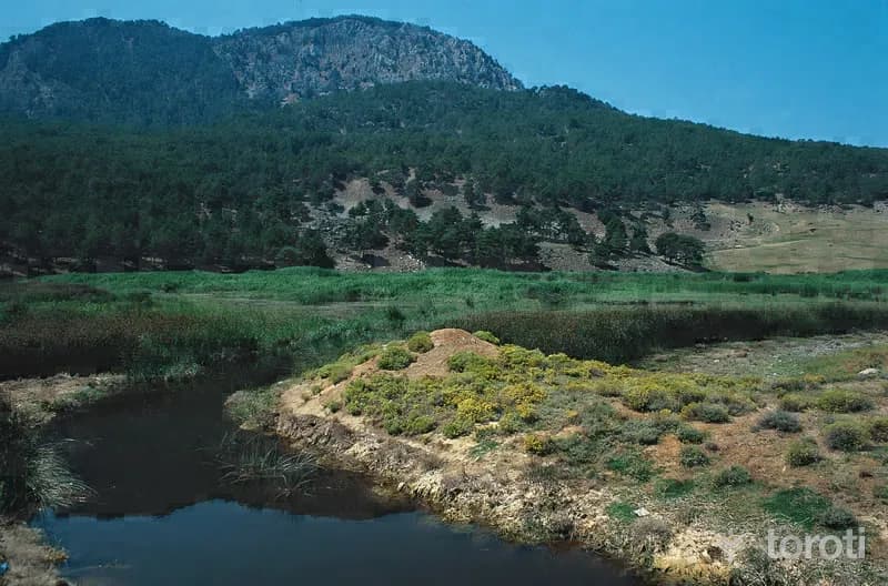 Karagöl