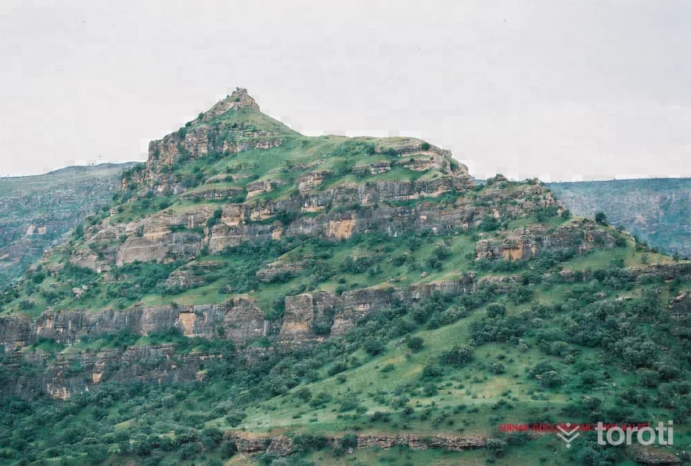 Finik Kalesi