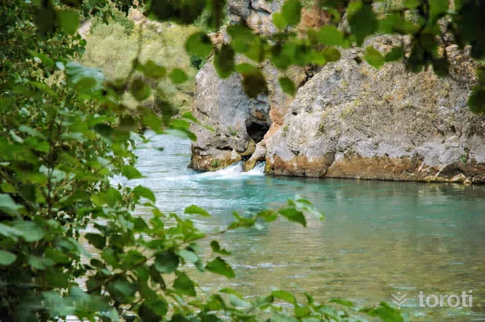 Halbori Gözeleri