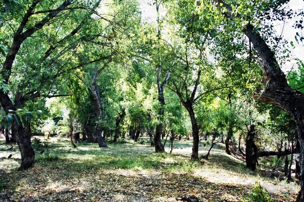 Kutudere Mesire Yeri