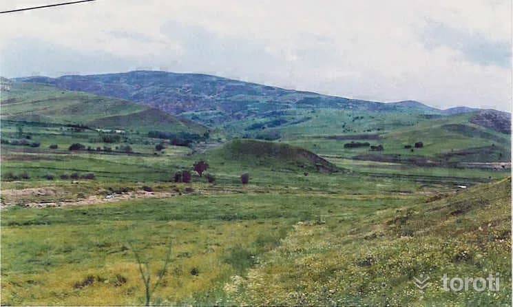 Til Höyüğü