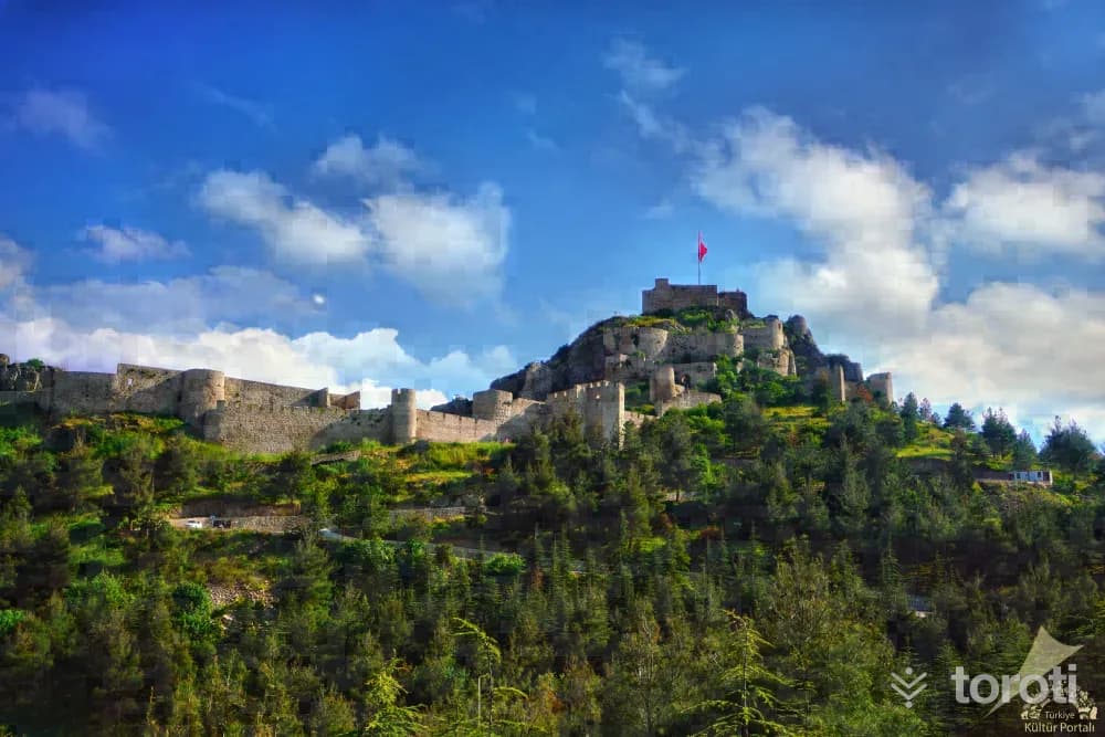 Amasya Kalesi