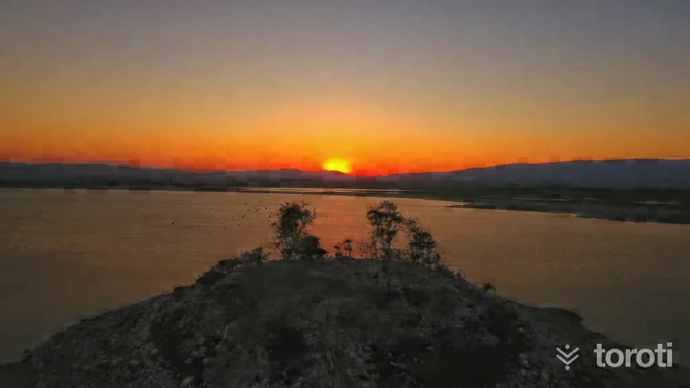Kuş Gözlemciliği - Yedikuğular Kuş Cenneti