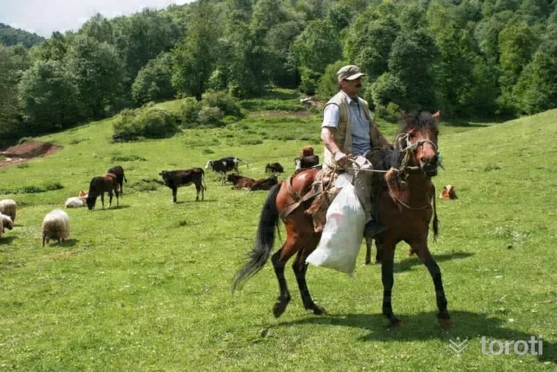 Otomobil Ve Motor Sporları - Akdağ Yaylası