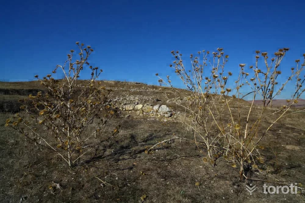 Zile Maşat Höyük